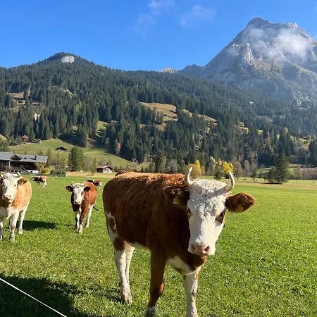 Alpen Charme - D'hotes Et 3*