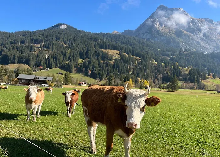 Alpen Charme - D'hotes Et 3*